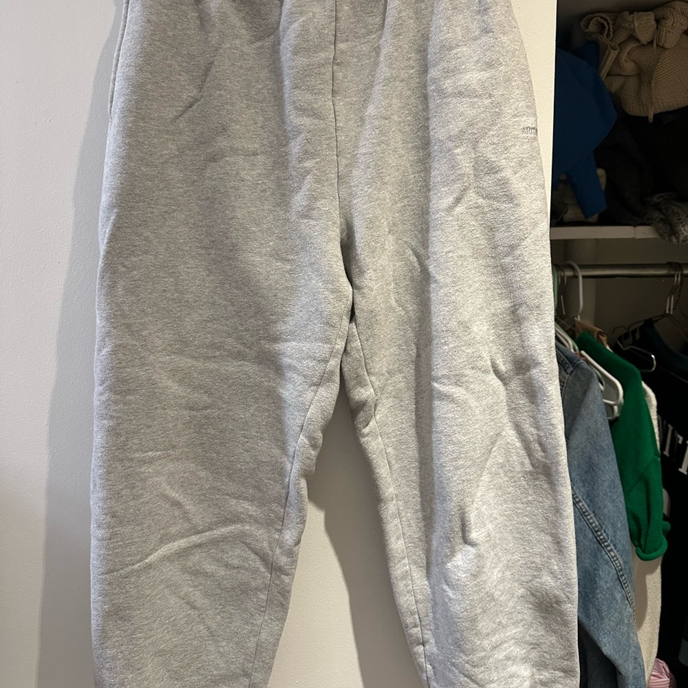 Gray Aritzia Sweatpants